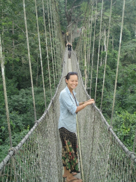 Canopy walk.JPG